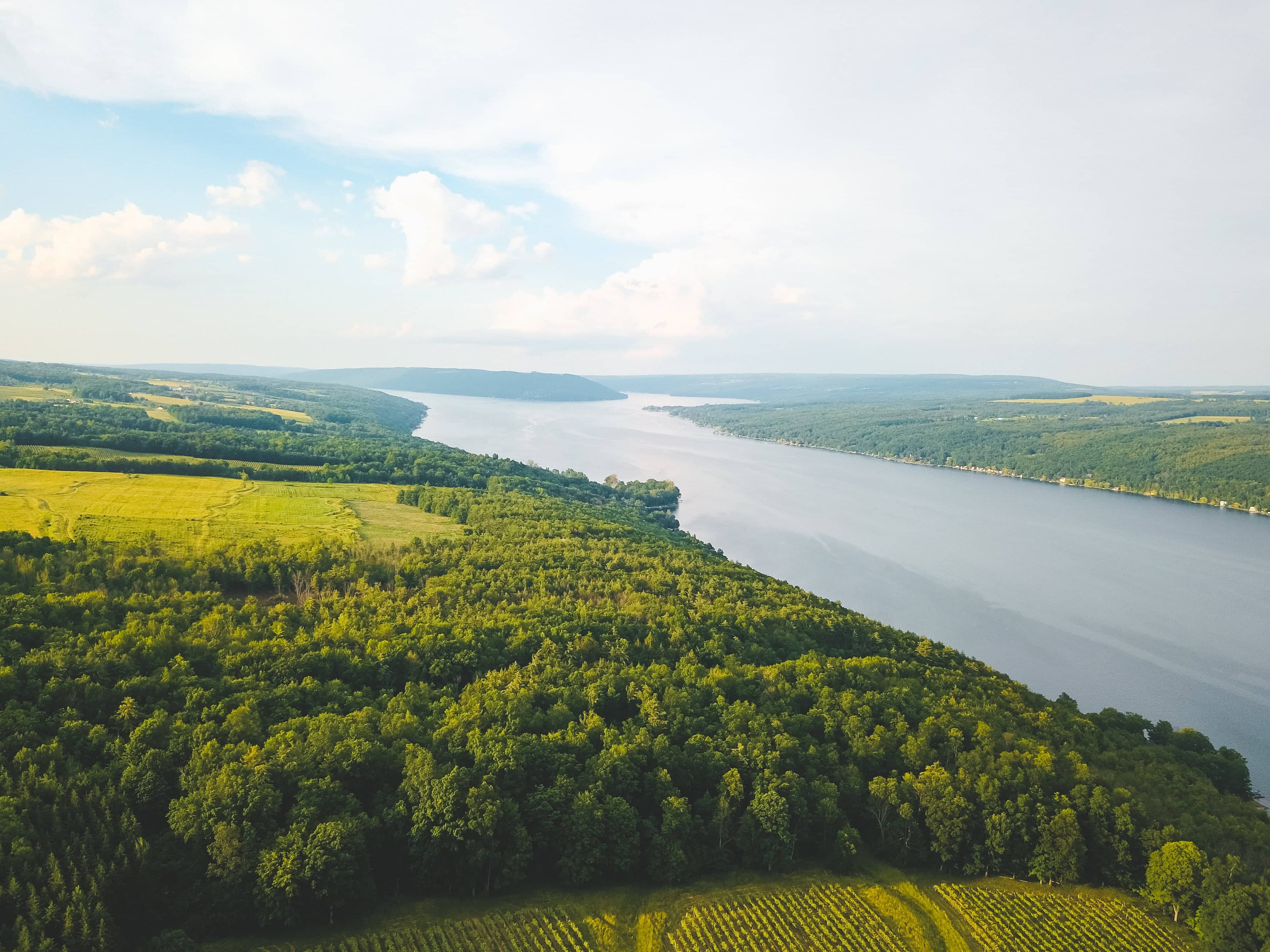Vineyards on the hillside above Keuka Lake